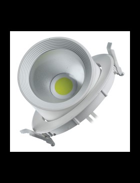 30W COB LED Salyangoz Armatür