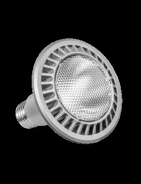 COB PAR-30 Spot Ampul