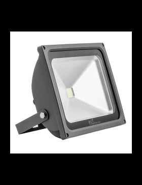 50 W COB LED Projektör