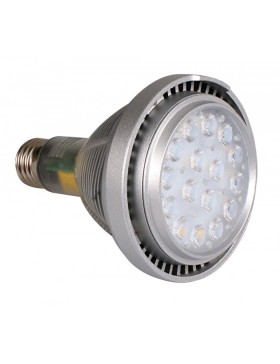 LA013 B, S LED AMPULLER