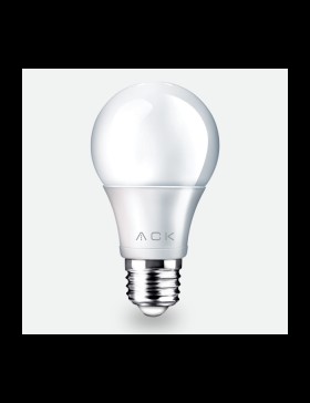 LED A60 Ampul