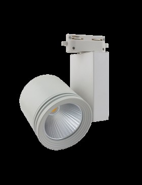 30W COB LED Ray Armatür